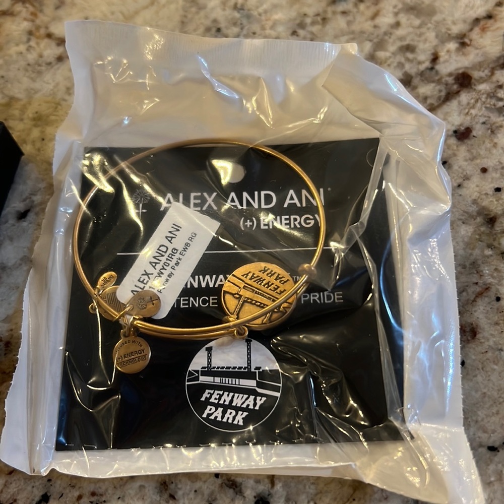 Alex and Ani Fenway Park Bracelet